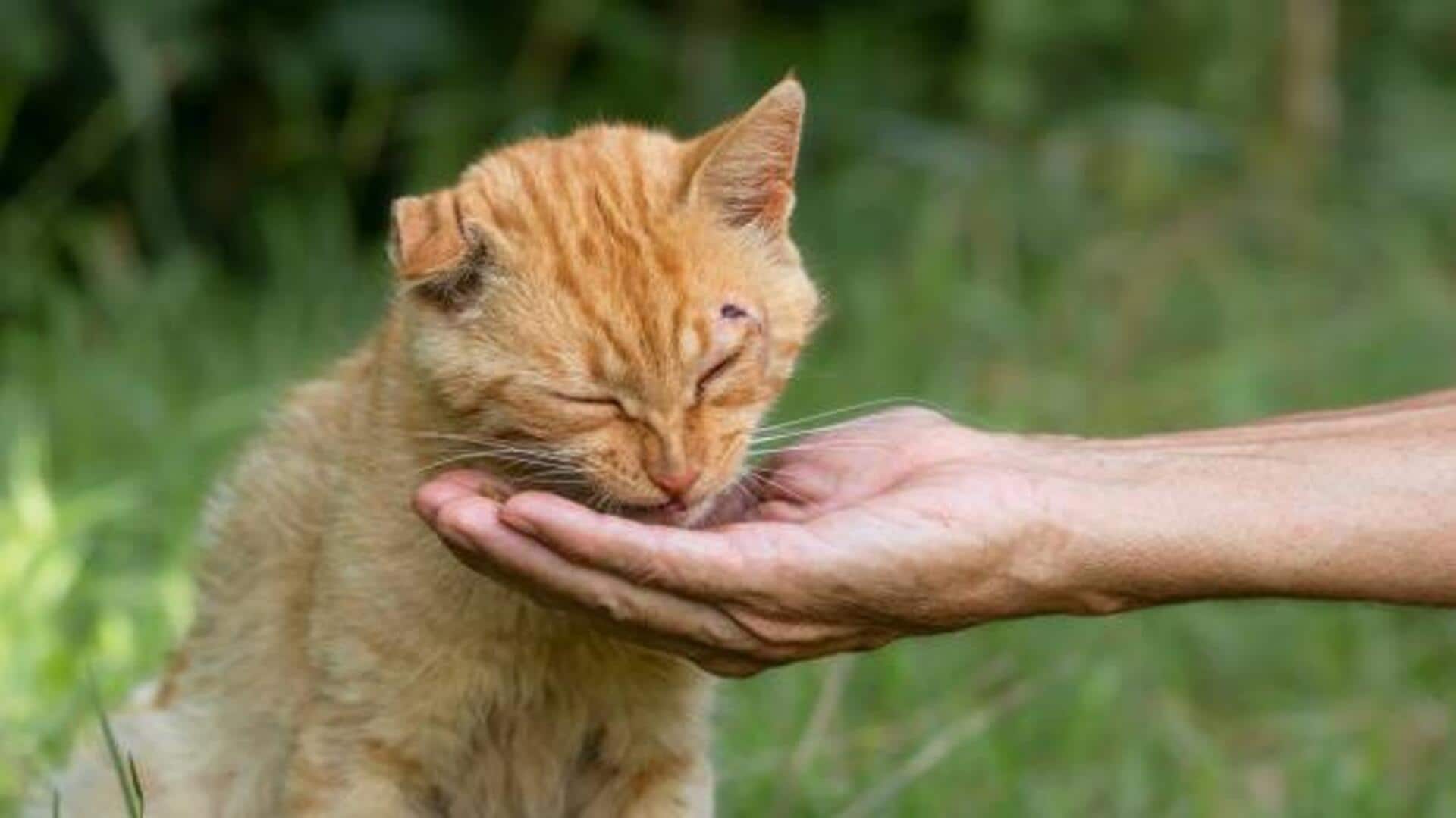 Why you should practice kindness Why you should practice kindness