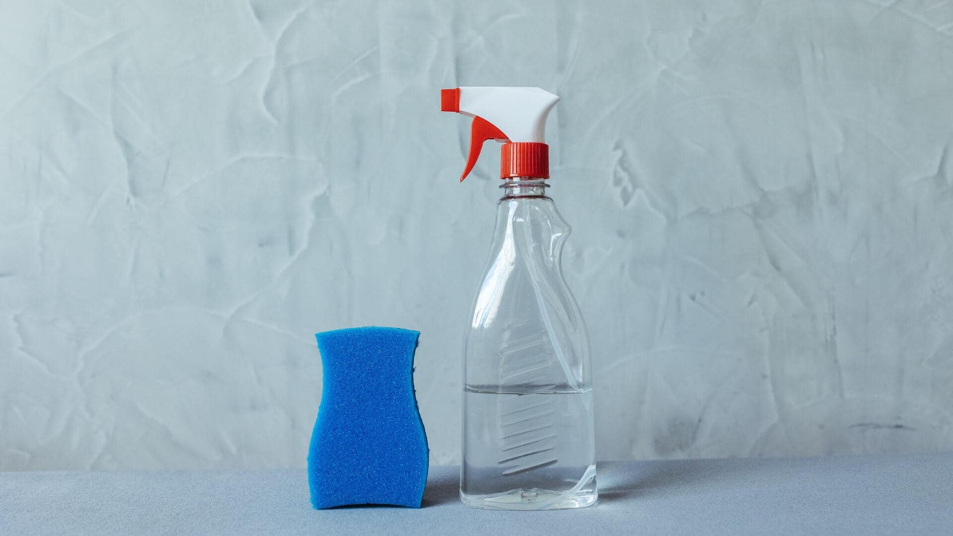 4 easy pet-safe furniture cleaners you can make at home