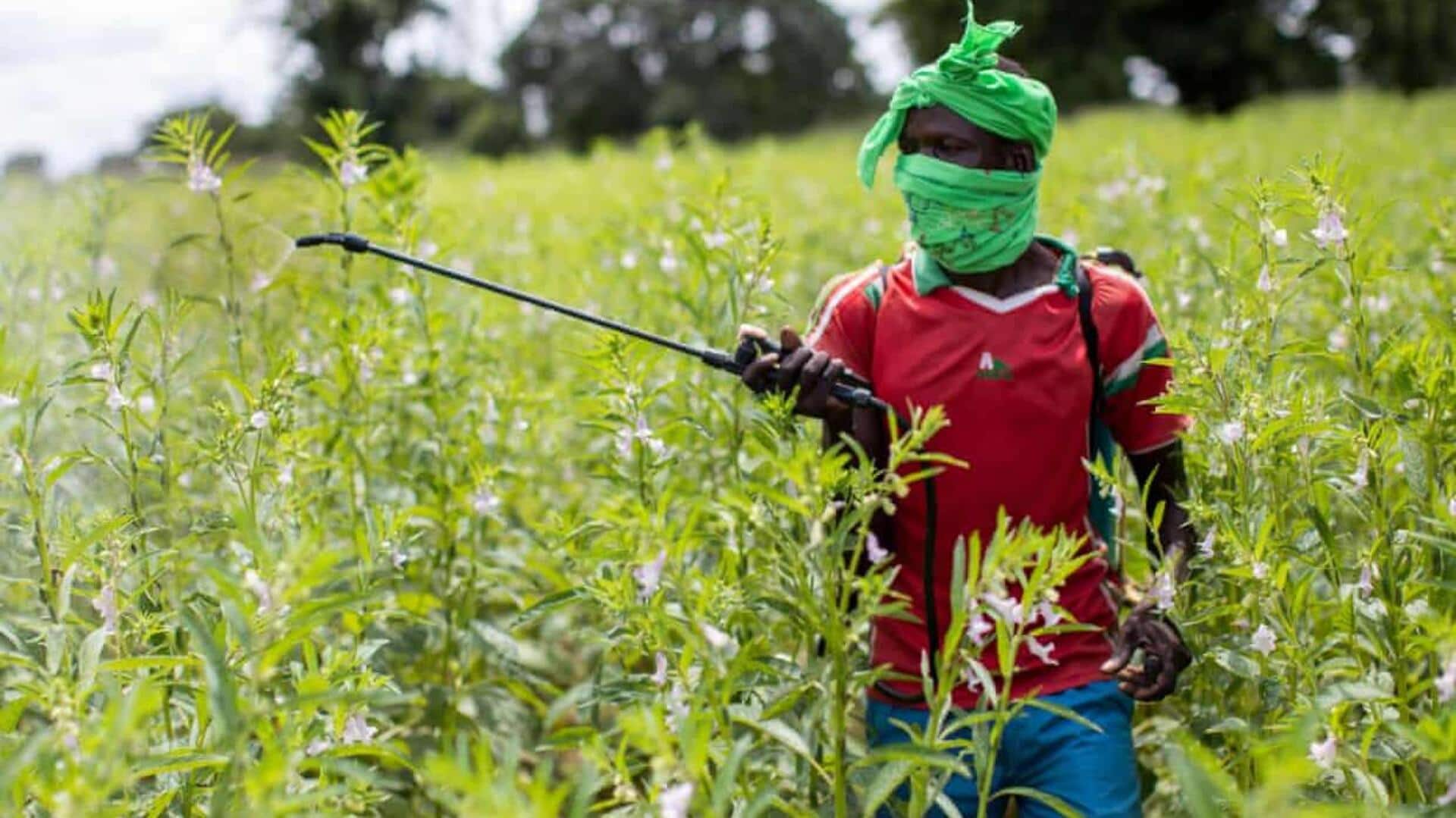 Worrying: 50% of world's farmers suffer pesticide poisoning each year