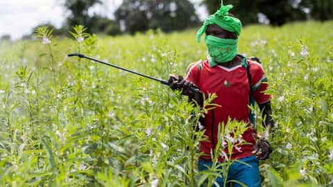 Worrying: 50% of world's farmers suffer pesticide poisoning each year