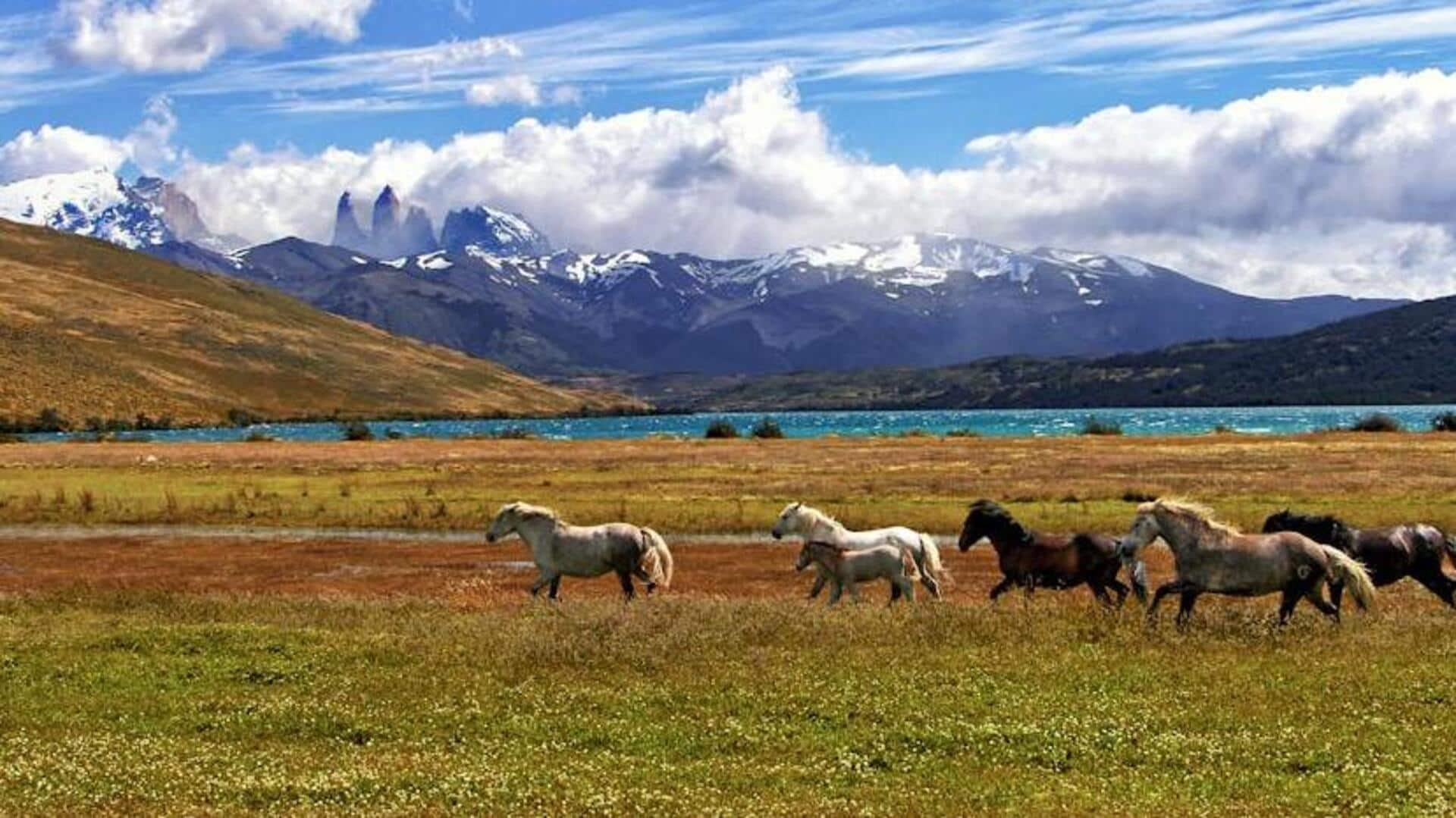 Discover Patagonia's secret natural gems with this travel guide