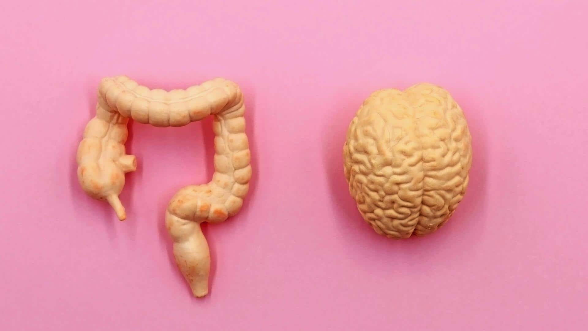 The brain-gut relationship: How it works and affects our health