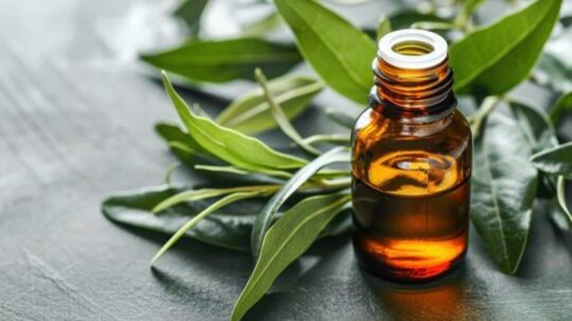 Tea tree oil: A must-have for healthy skin