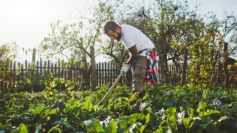 Interested in organic farming? These AI tools can guide you