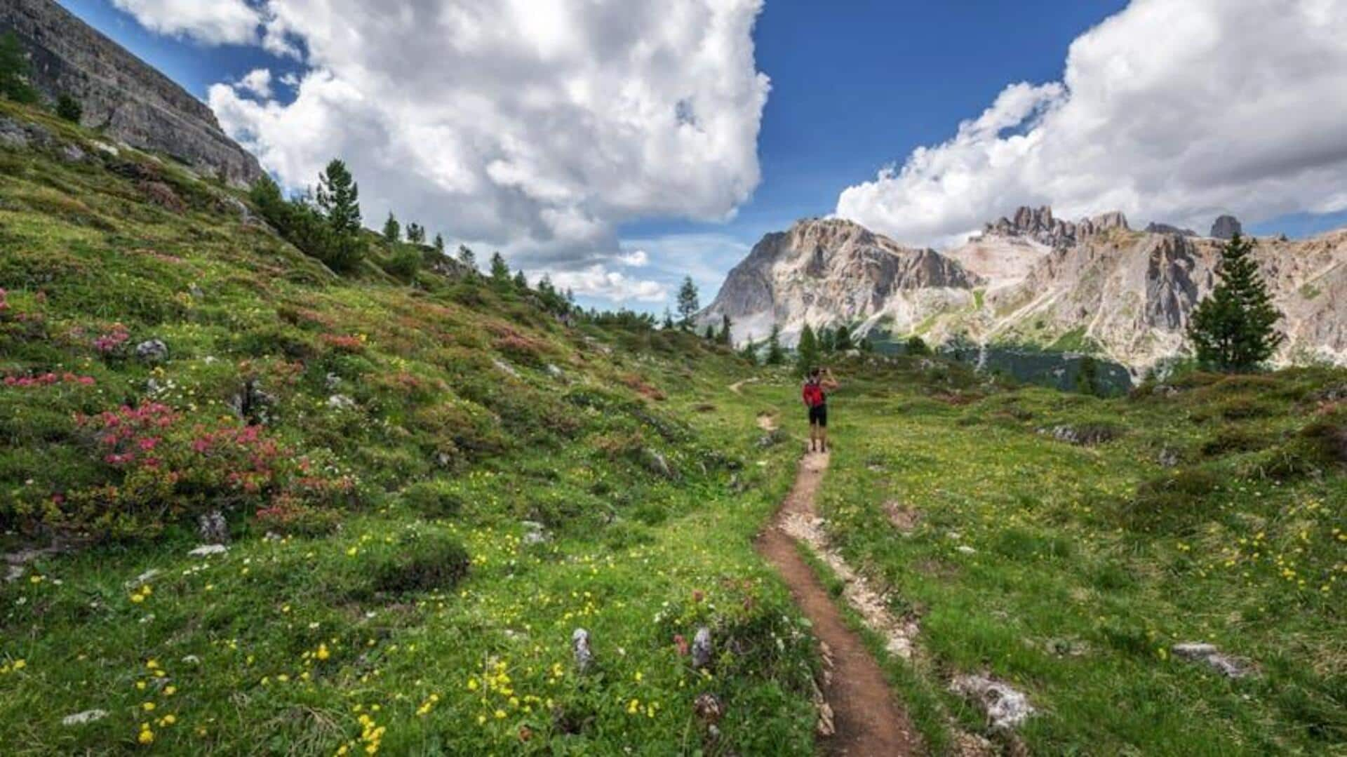 For hikers: Discover rare plants on this Himalayan trek 