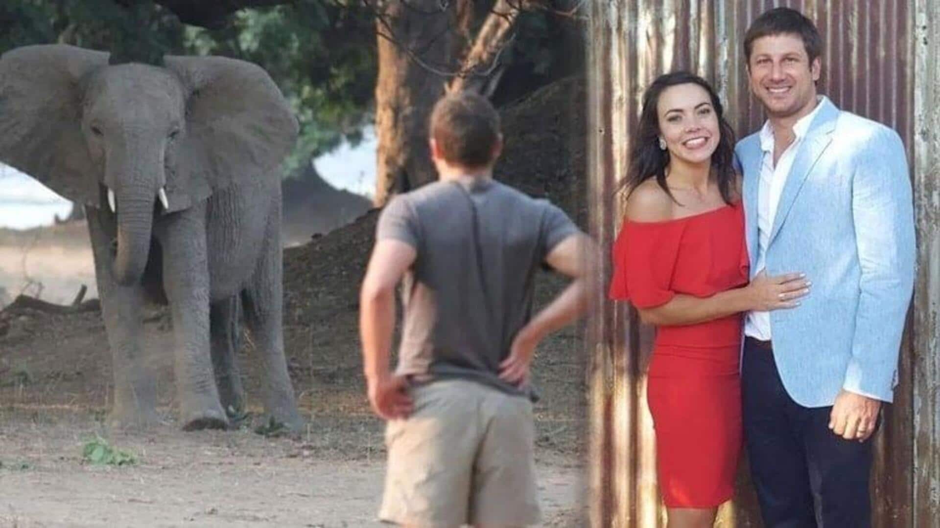 Elephant tramples multi-millionaire CEO to death in South Africa Elephant tramples multi-millionaire CEO to death in South Africa