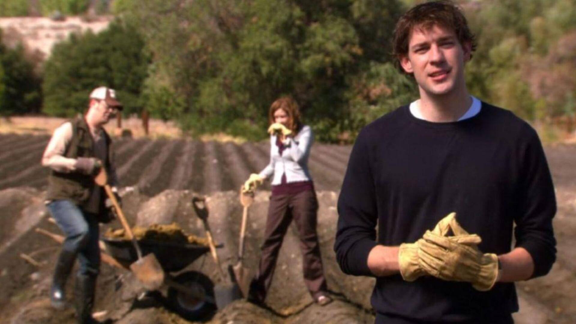'The Office' fans can't stop talking about Schrute farms 'The Office' fans can't stop talking about Schrute farms