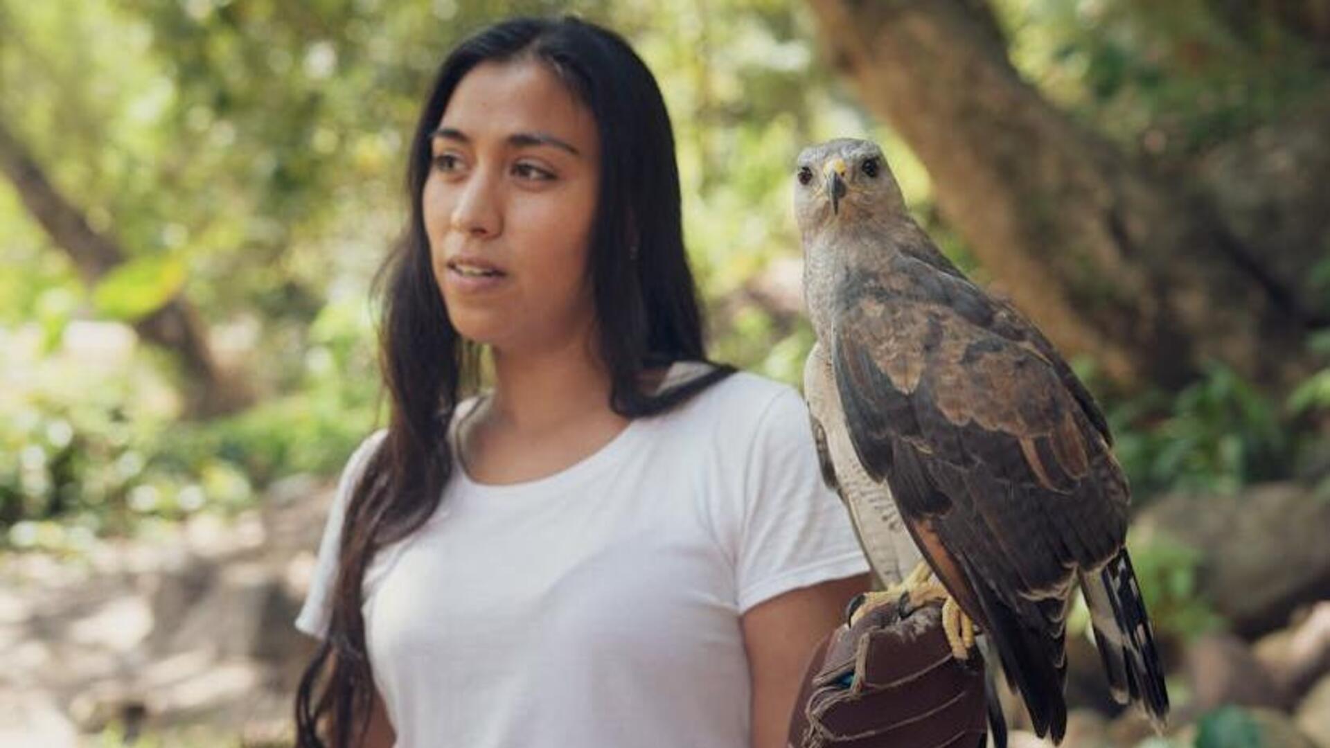 Traditional falconry: Ancient hunting in modern times