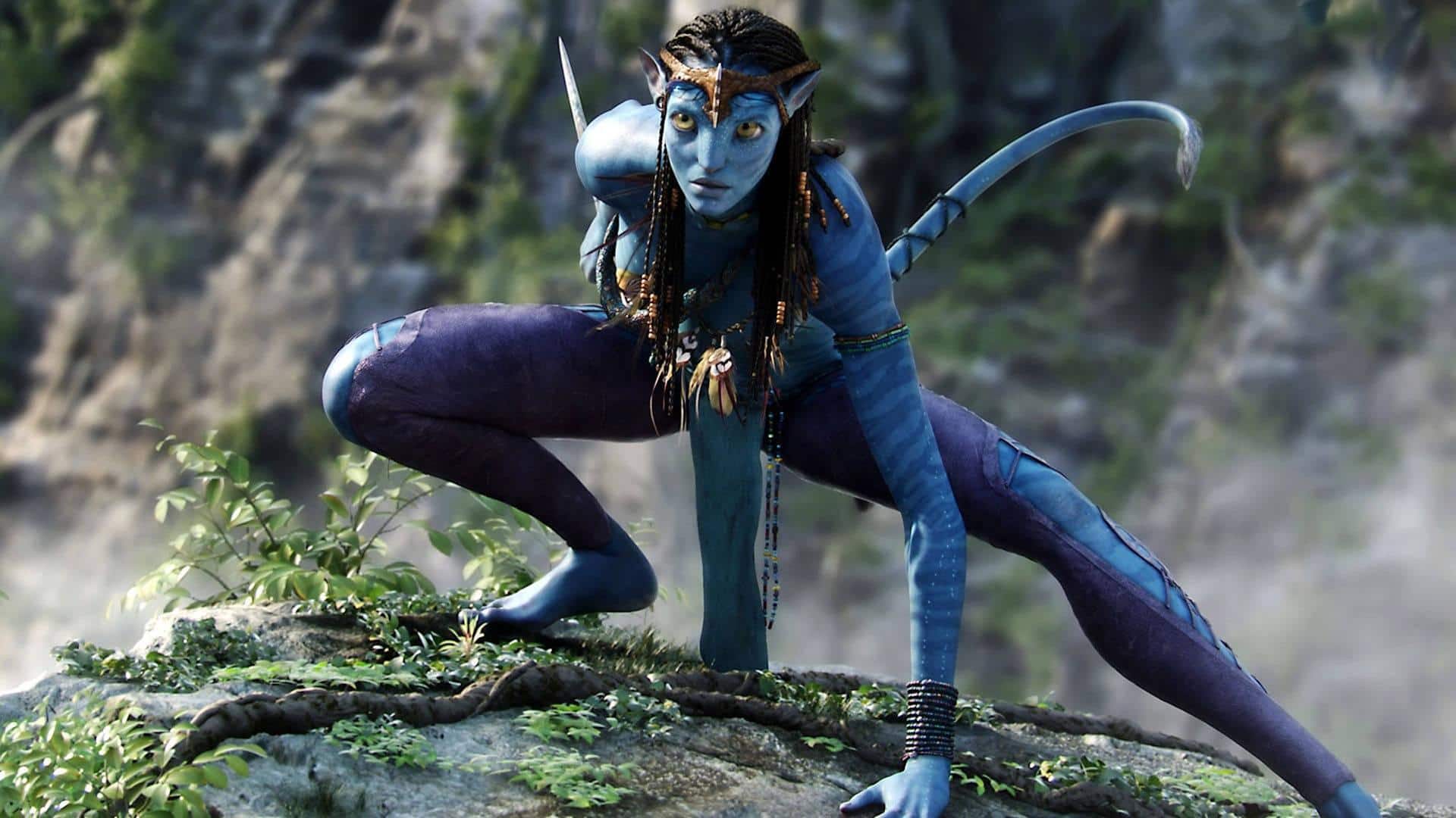 Zoe Saldana calls Neytiri 'racist': 'Avatar' fans are confused