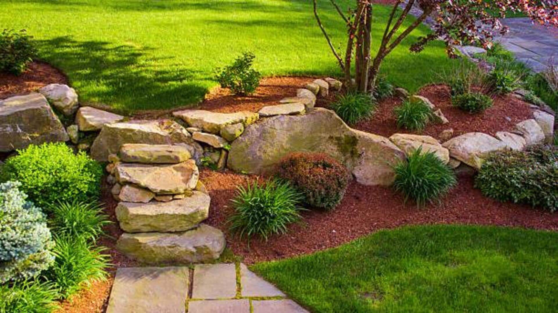 Rock gardening is a therapy. Read how