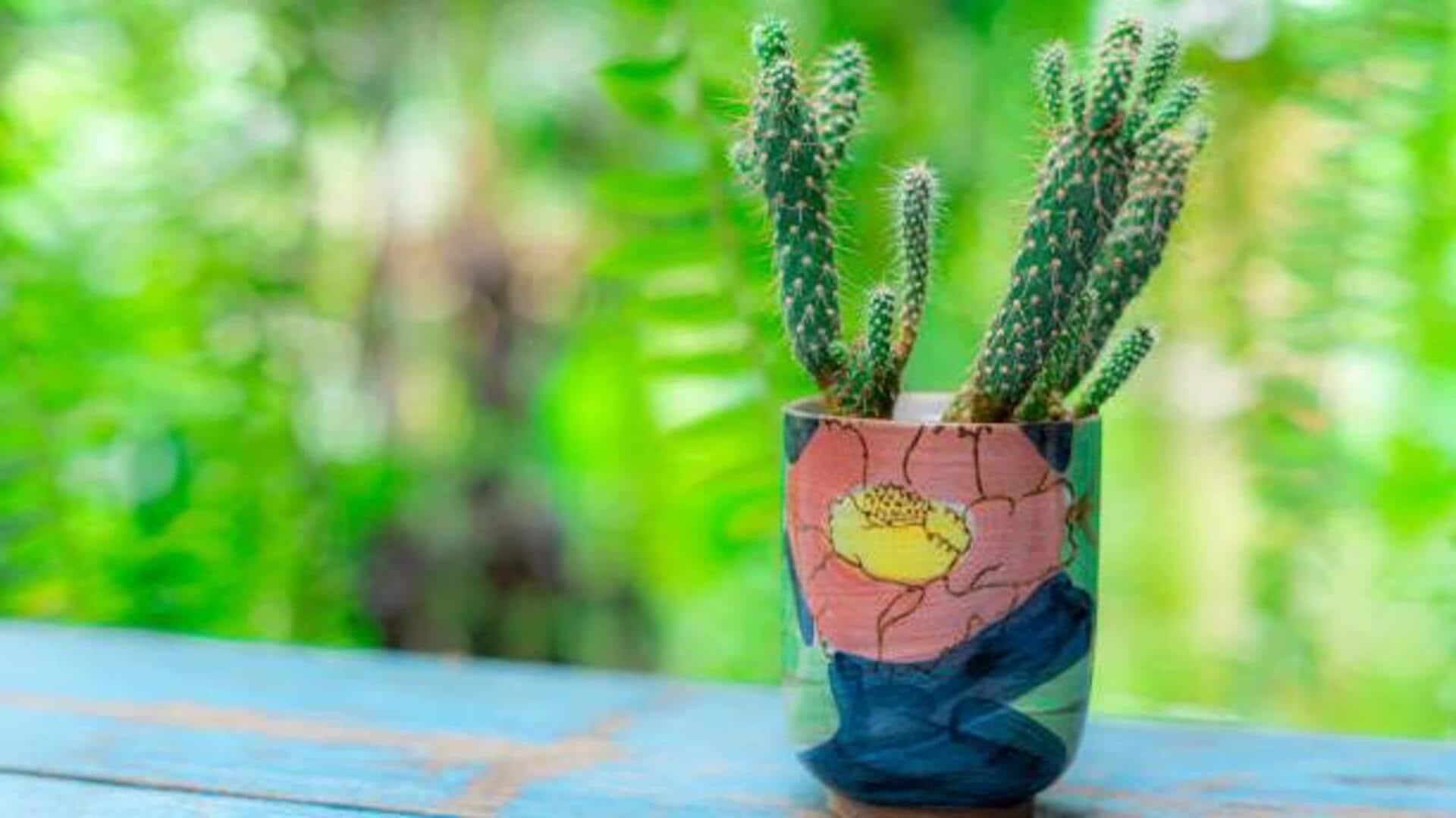 How to give your planters a stylish makeover