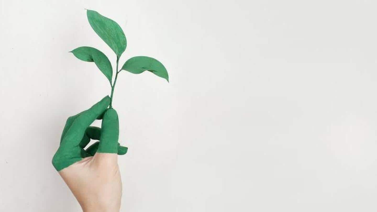 Tips to cut down on the use of plastic packaging Tips to cut down on the use of plastic packaging