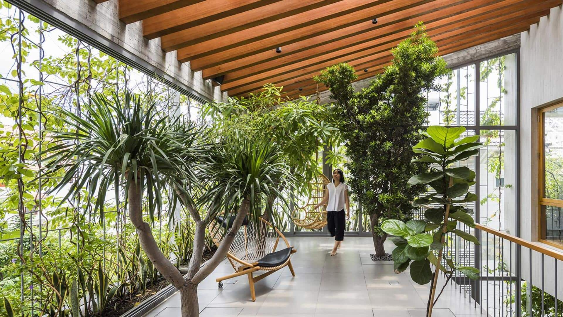 Exploring biophilic skylight wonders