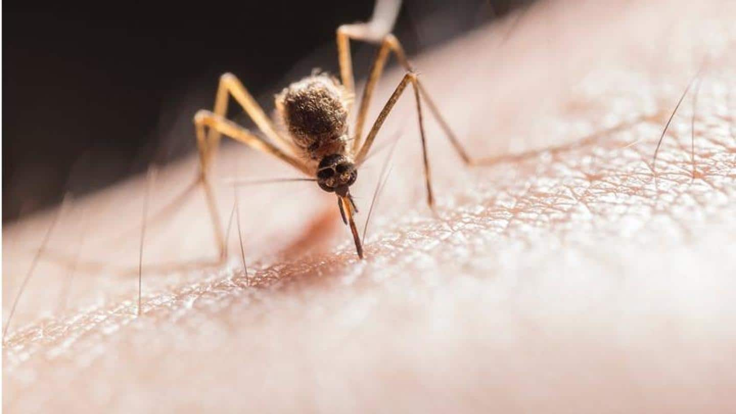 Man dies of West Nile fever in Kerala's Thrissur