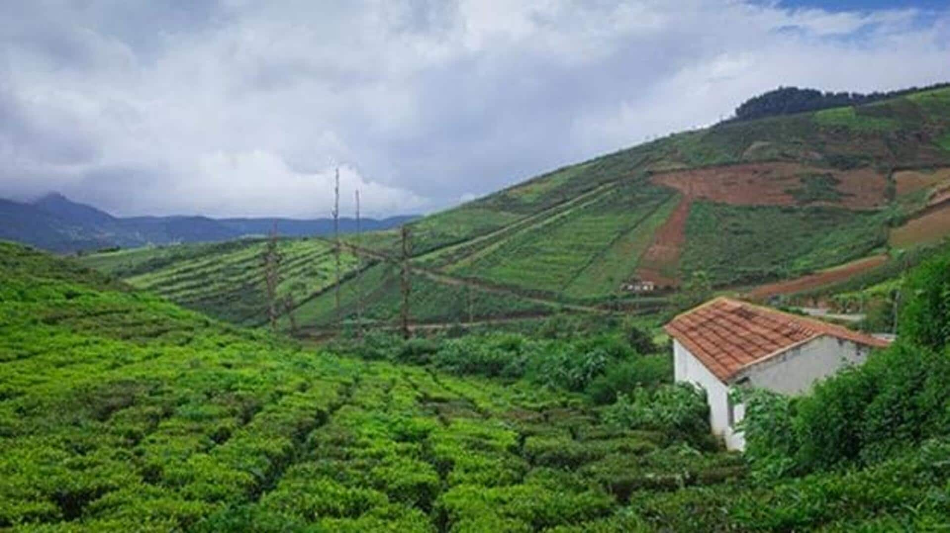 Explore Coorg in 3 days: The perfect itinerary