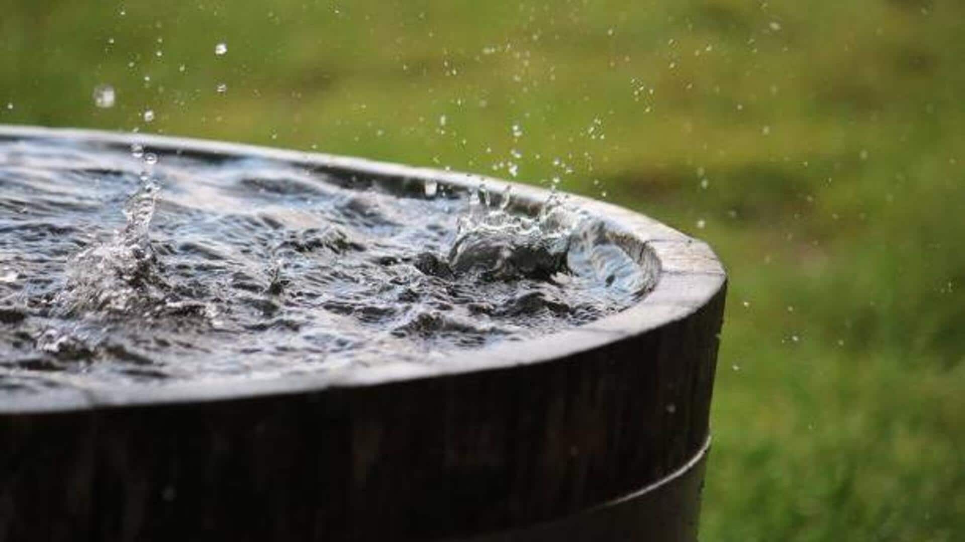 Rainwater harvesting: 5 tips to save water