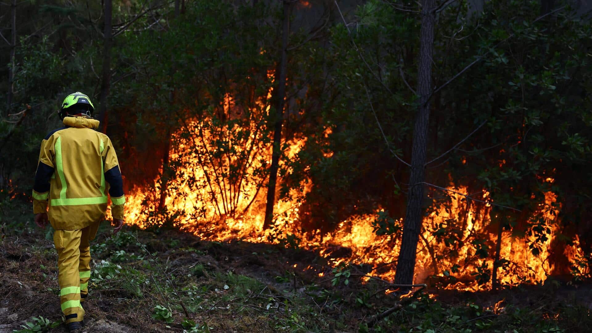 Is climate change to blame for Europe's severe wildfires?