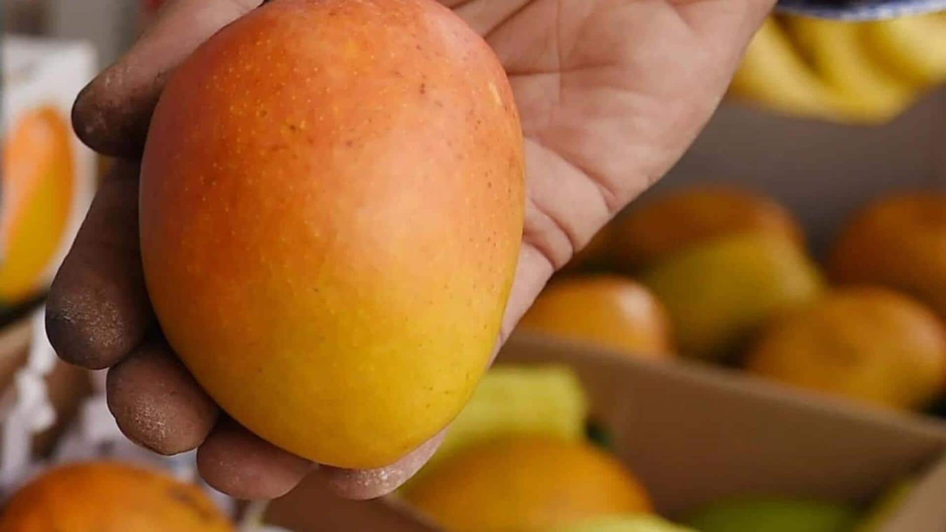Mango lovers, try these recipes today!