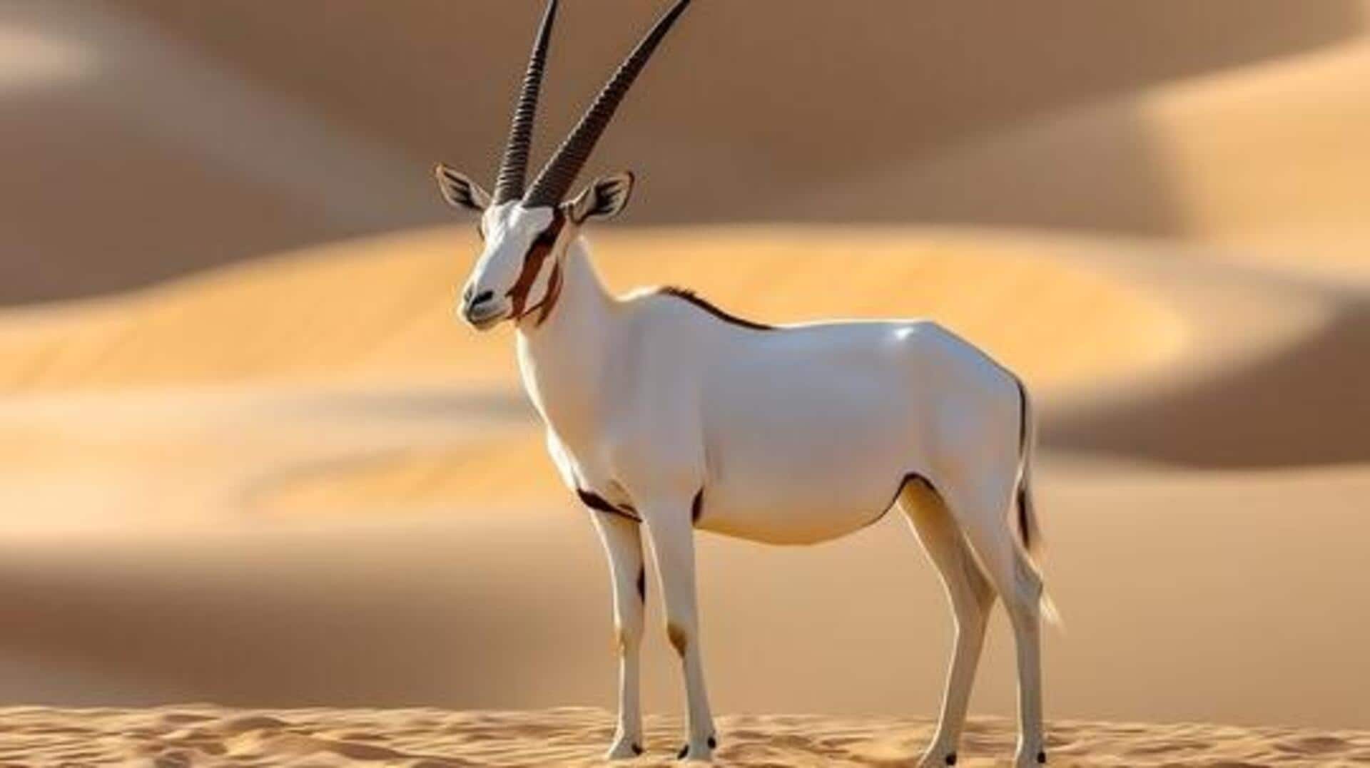 World Wildlife Day: 5 most endangered species on Earth