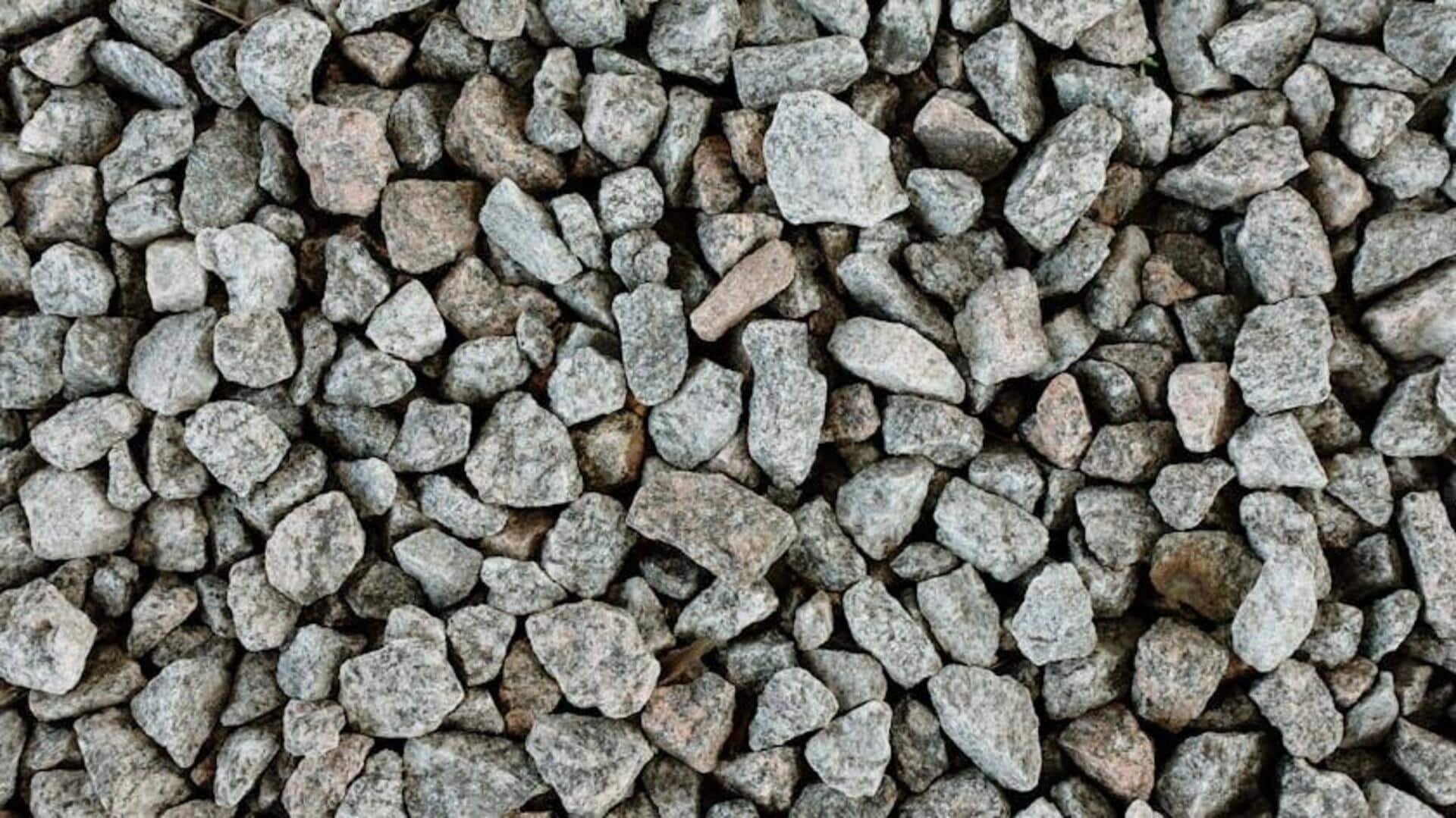 Rock collecting: A quick way to boost your well-being