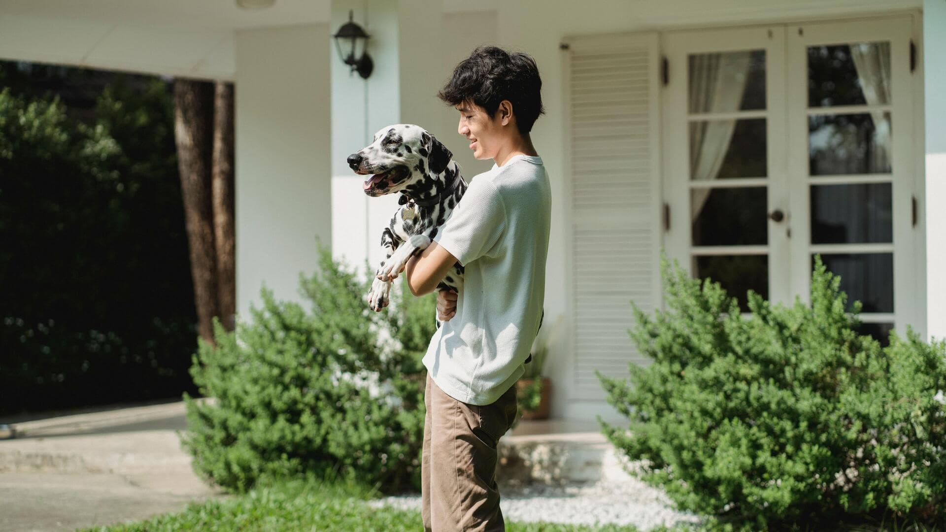 Keep your home pest-free without harming your dog