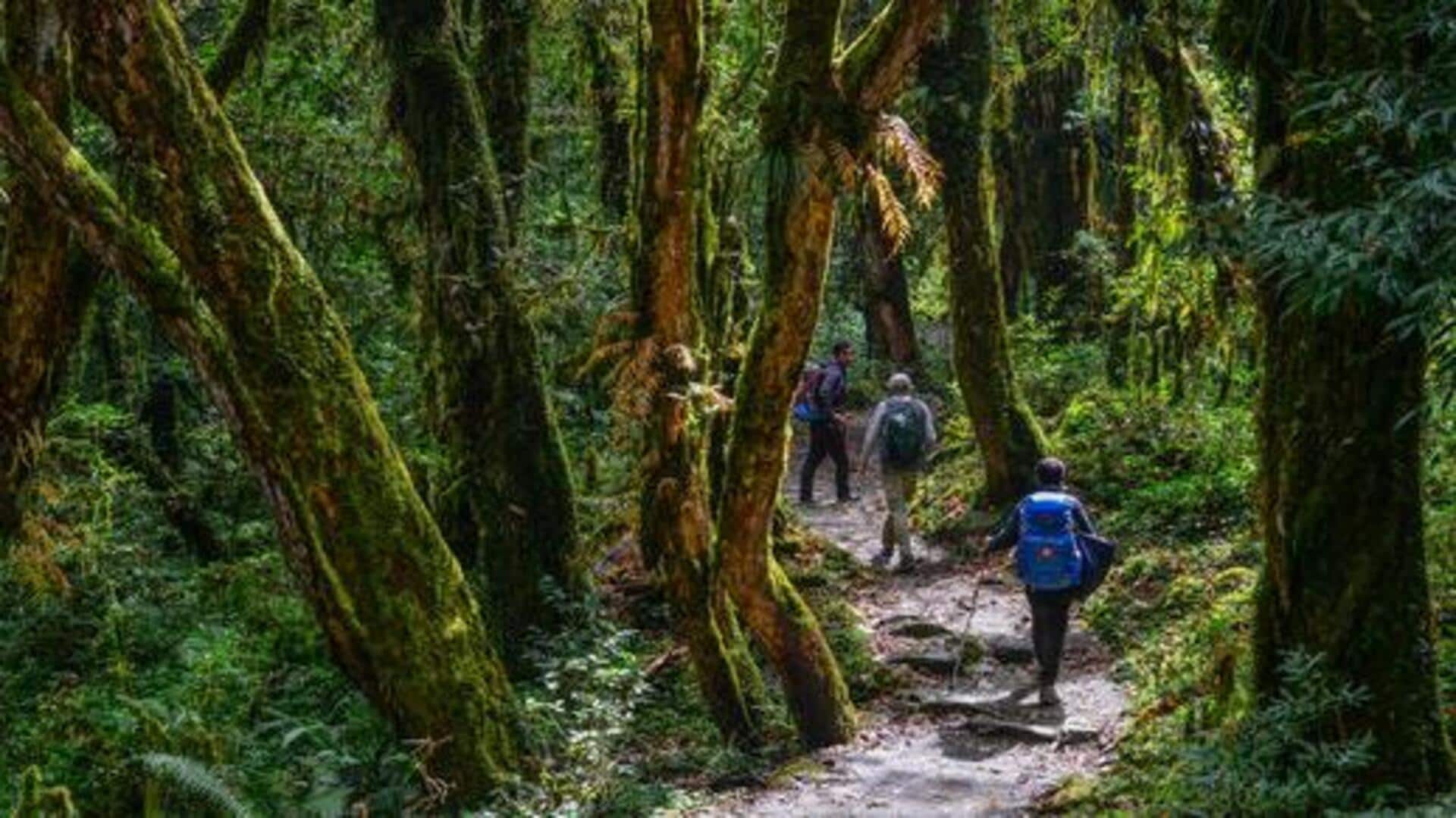 For hikers: These jungle trails are worth exploring For hikers: These jungle trails are worth exploring