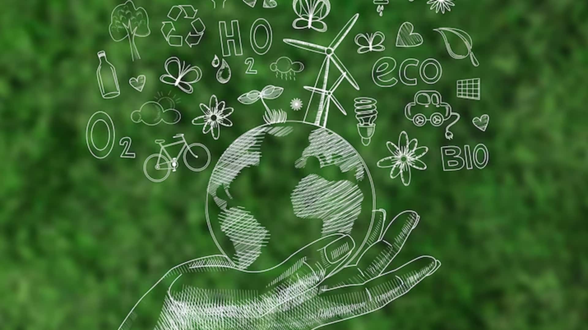 5 ways to reduce digital carbon footprint