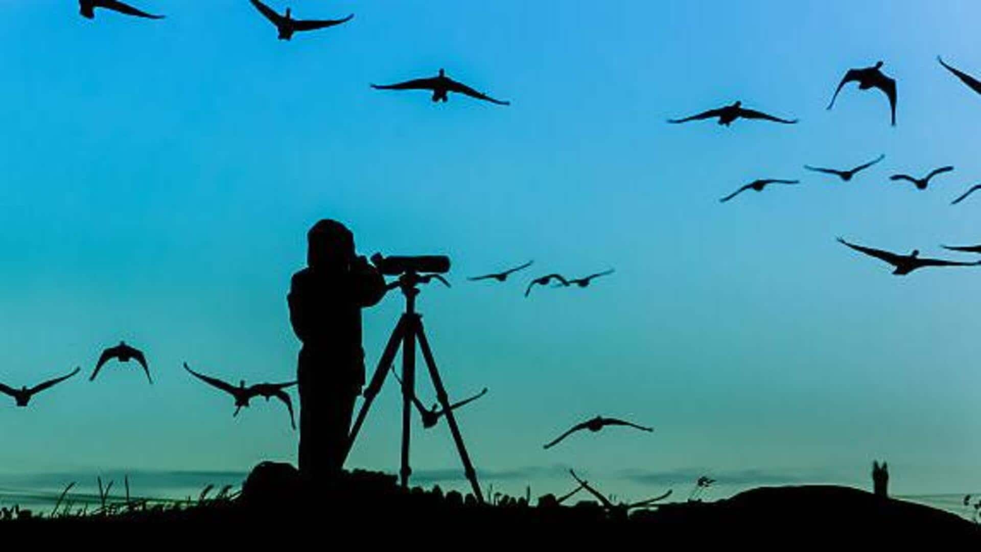 Top places for birdwatching in Europe 