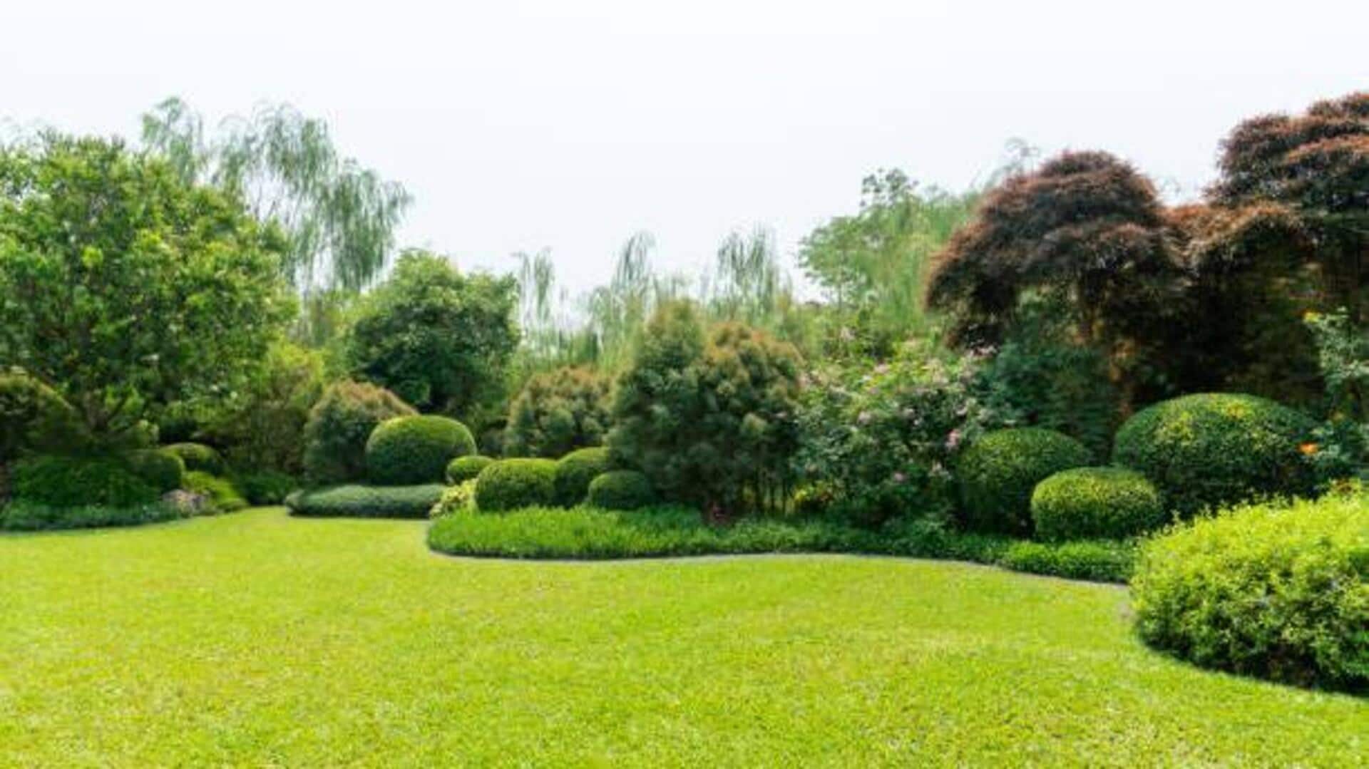 How to create a low-cost garden How to create a low-cost garden