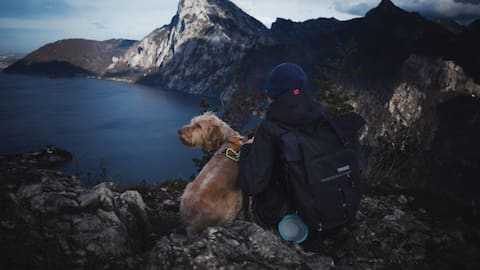 Hiking with your dog? Here's what you need to note