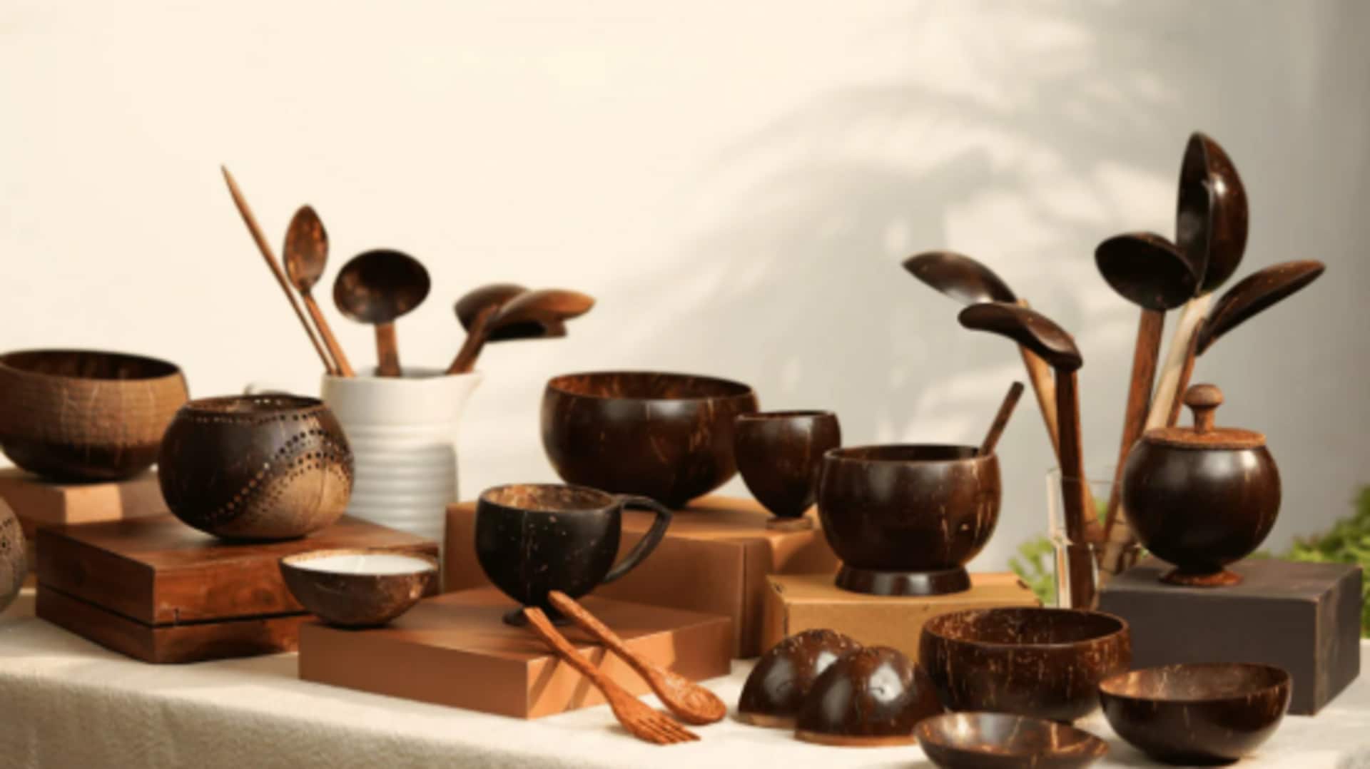 Create stunning coconut shell crafts, we tell you how Create stunning coconut shell crafts, we tell you how