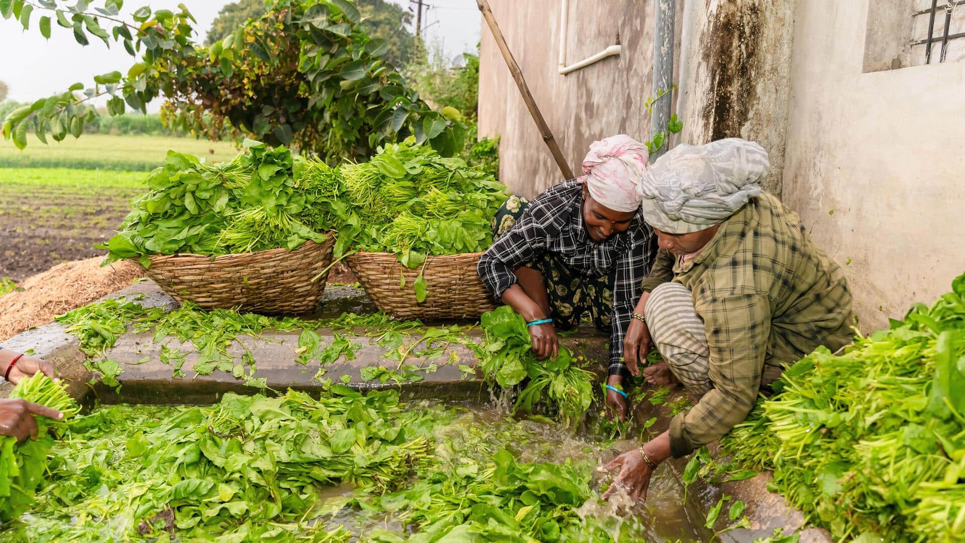 New to aquatic vegetables? Try these 5 varieties