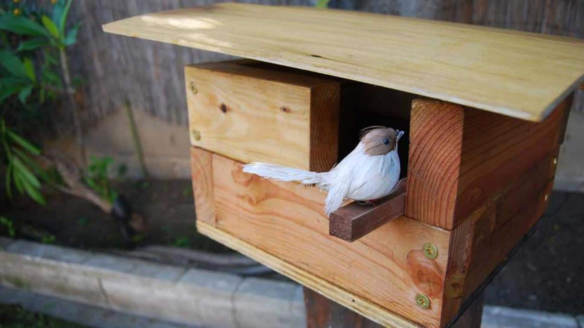 Birdhouse building: A fun way to teach kids about nature