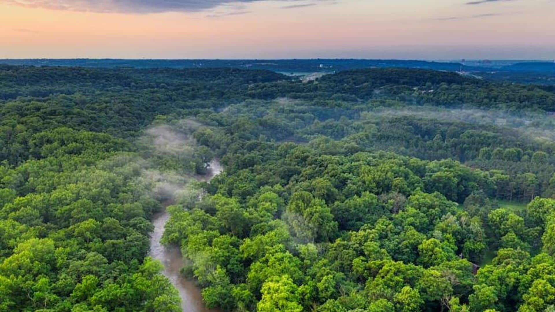 Trekking through the Amazon Rainforest, Brazil: A journey of discovery