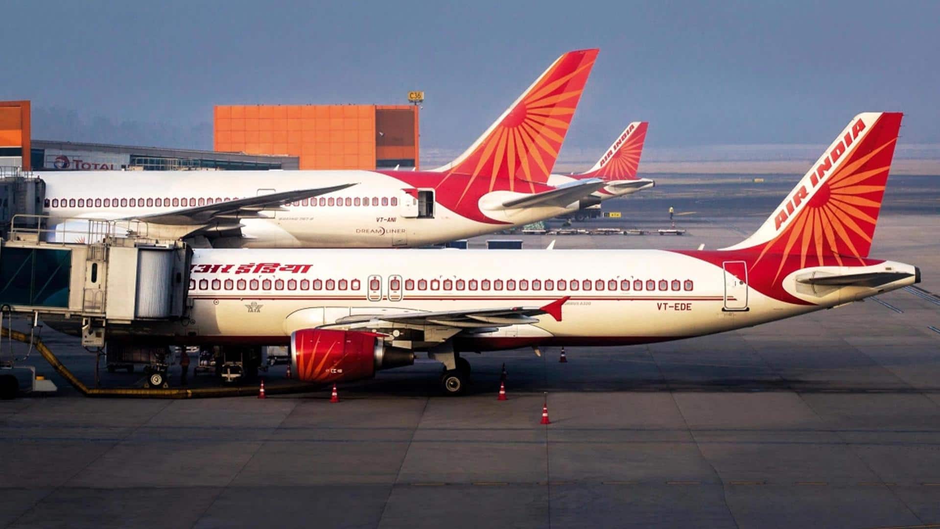 Scorpion bites passenger on Air India's Nagpur-Mumbai flight: Report