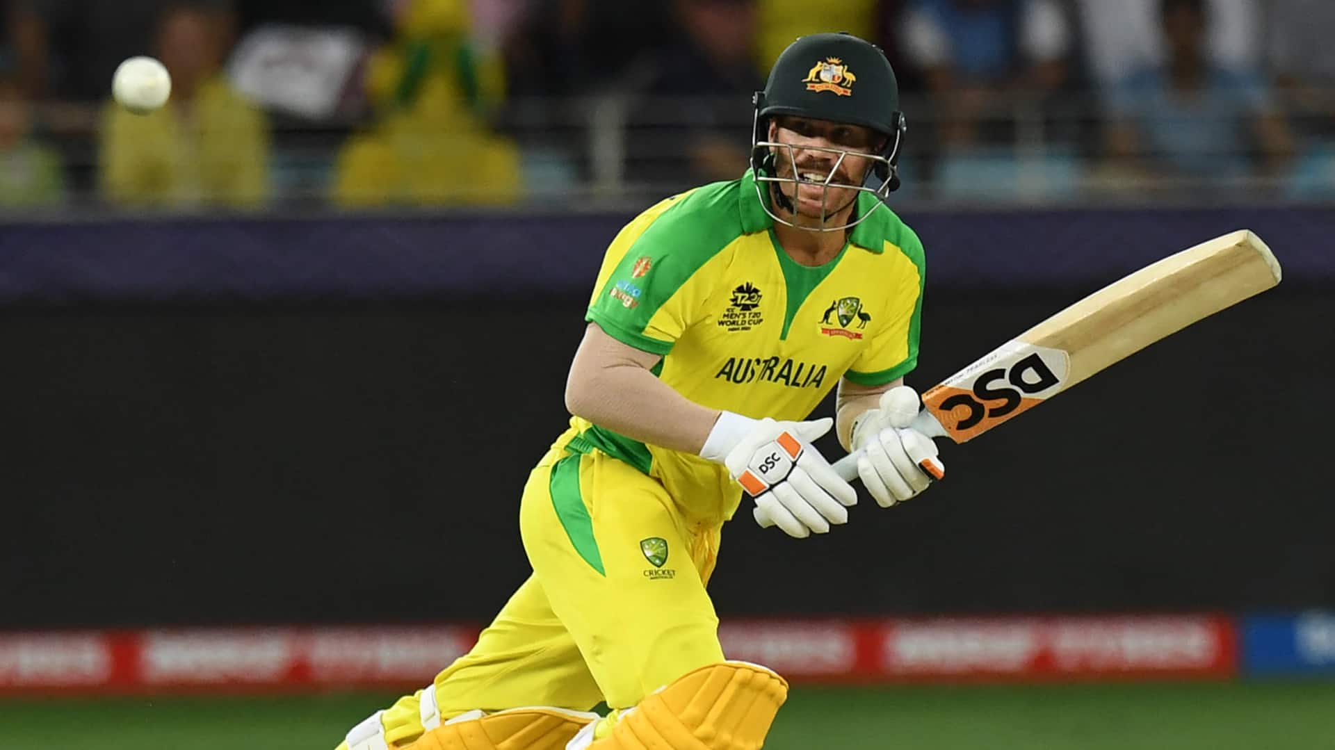 ICC Cricket World Cup, Australia vs Netherlands: Statistical Preview