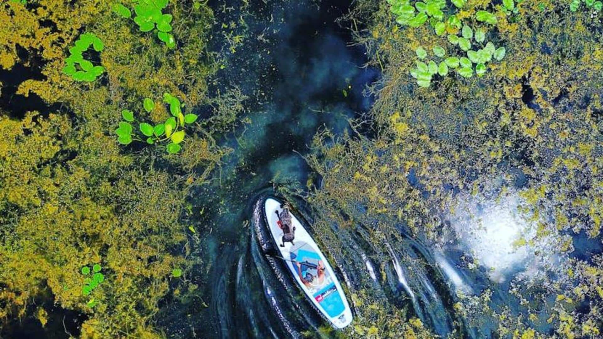 5 ways to elevate mood with stand-up paddleboarding