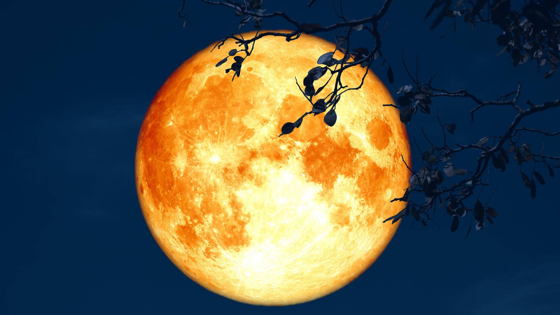 Buck Moon to grace skies next week: How to watch