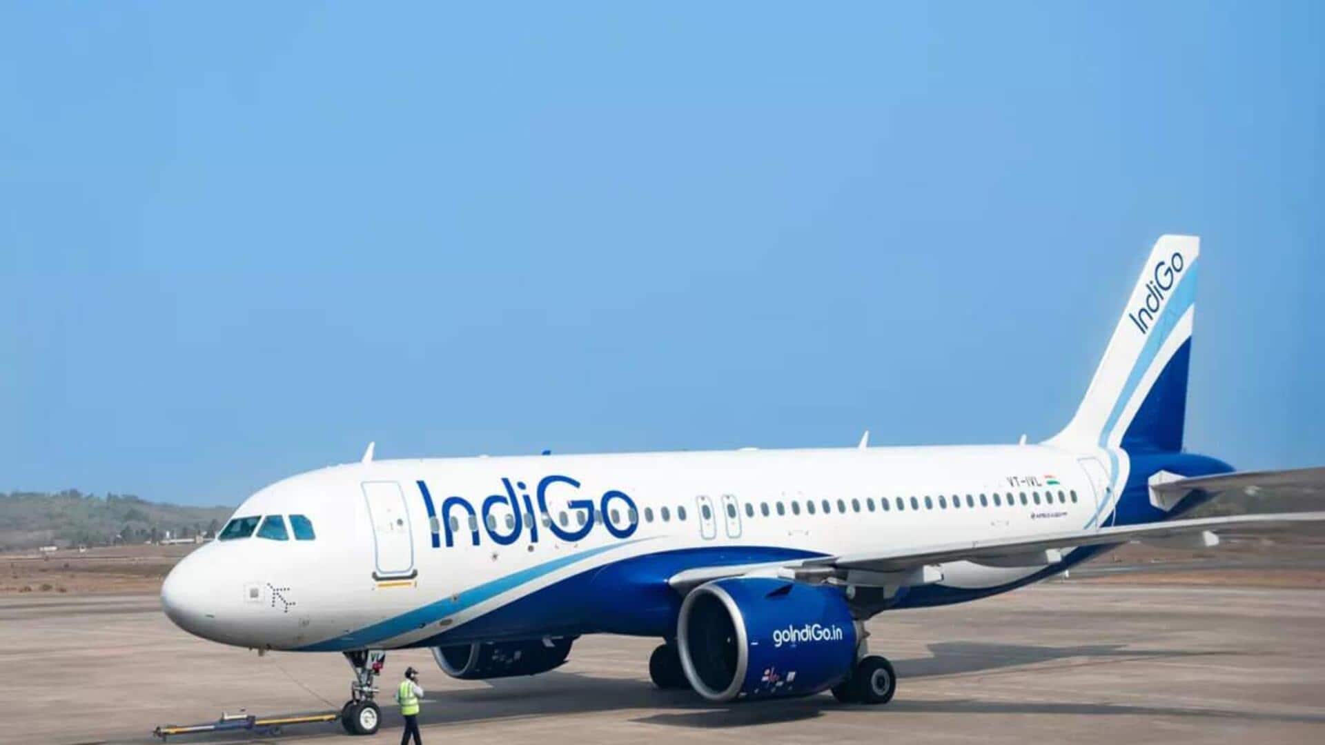 DGCA panel investigating IndiGo disruption gets extension till December 26