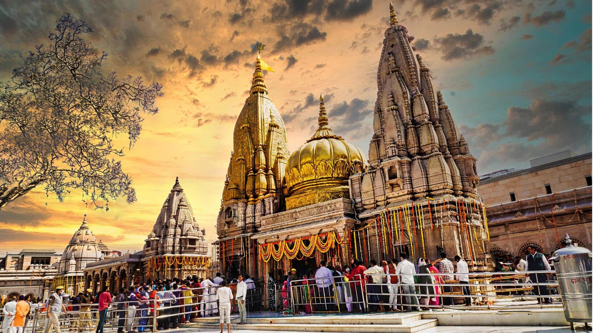 No VIP/special darshans at Kashi Vishwanath Temple this New Year