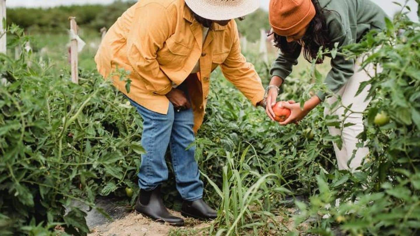 Here's why gardening is the best form of exercise ever