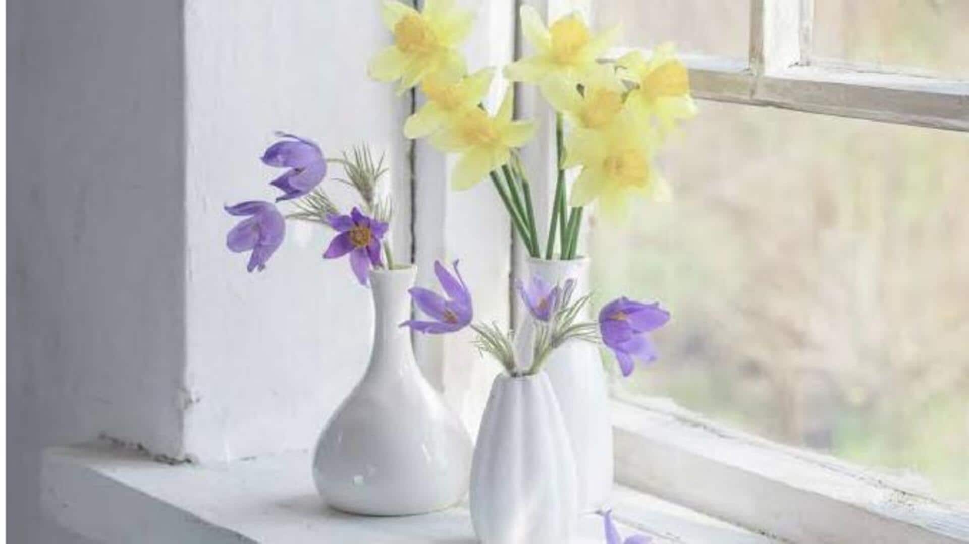 How to grow daffodils indoors
