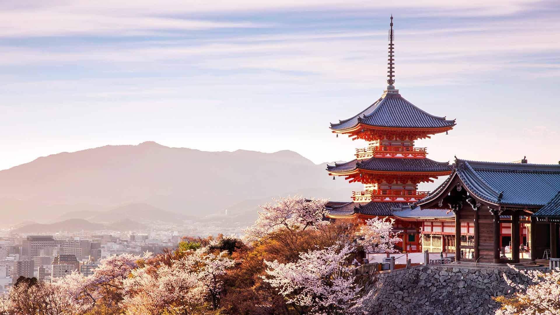 Places in Kyoto to witness its cherry blossom spectacle