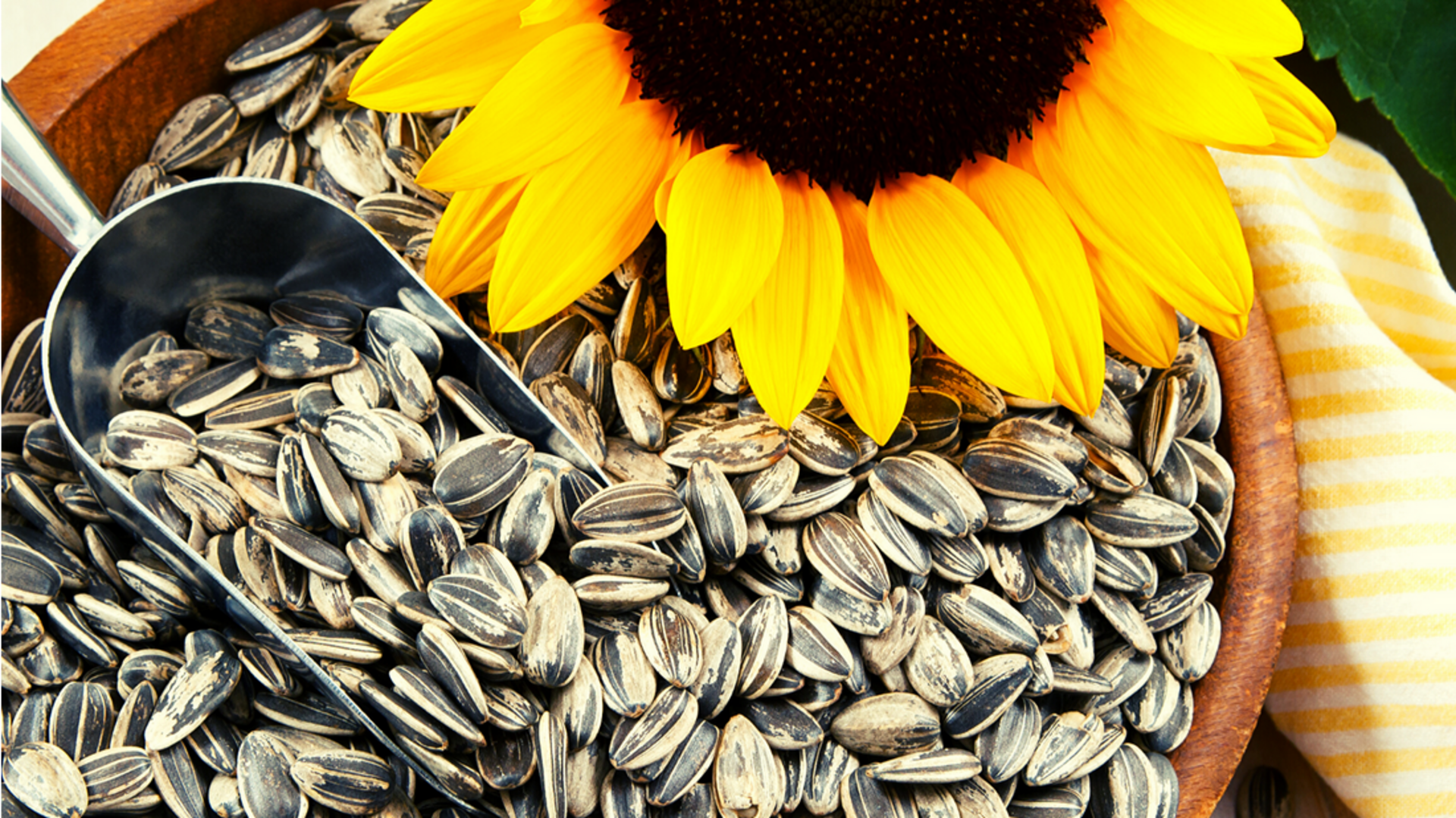 Why sunflower seeds are the ultimate superfood
