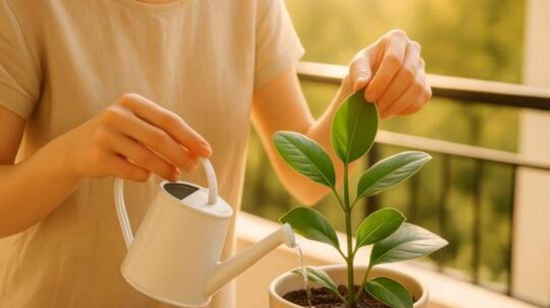 How caring for plants can be therapeutic 