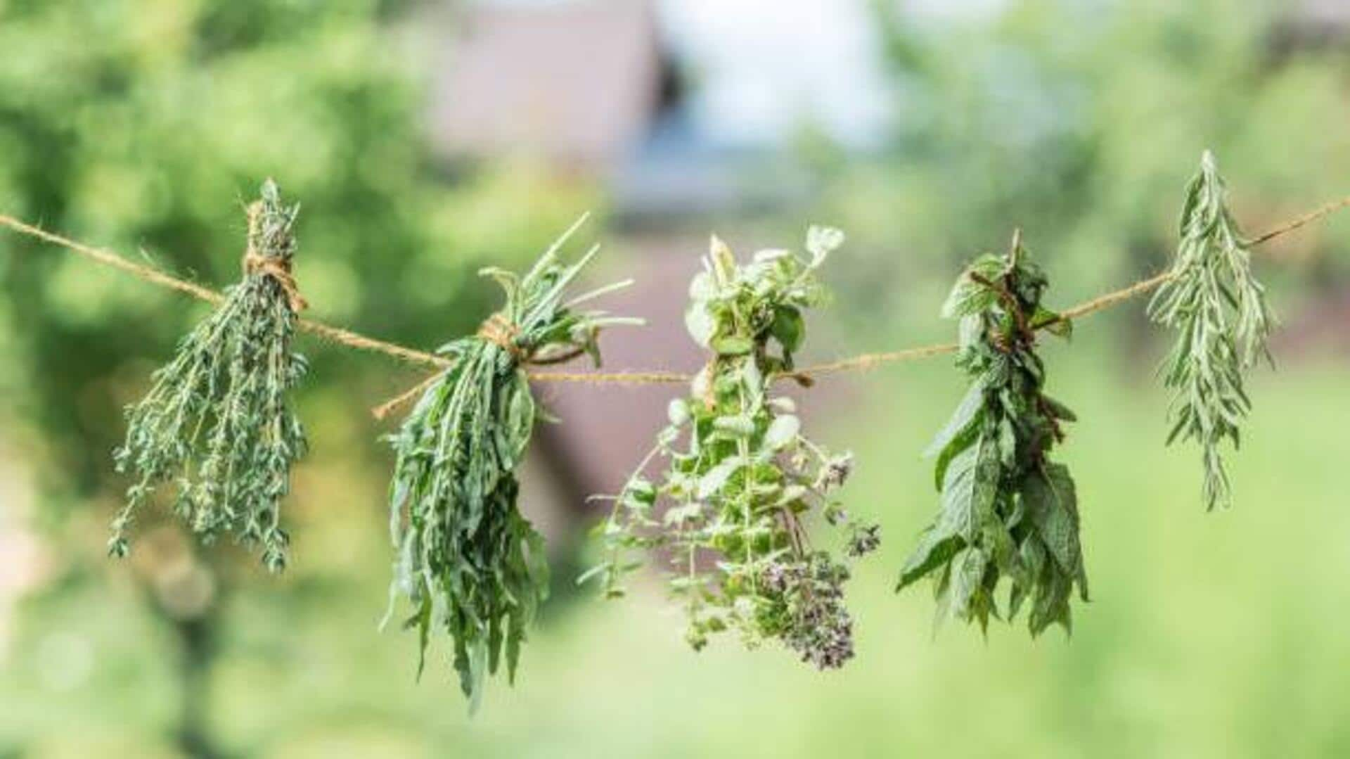 Fancy a stylish herb drying rack? We got you covered 