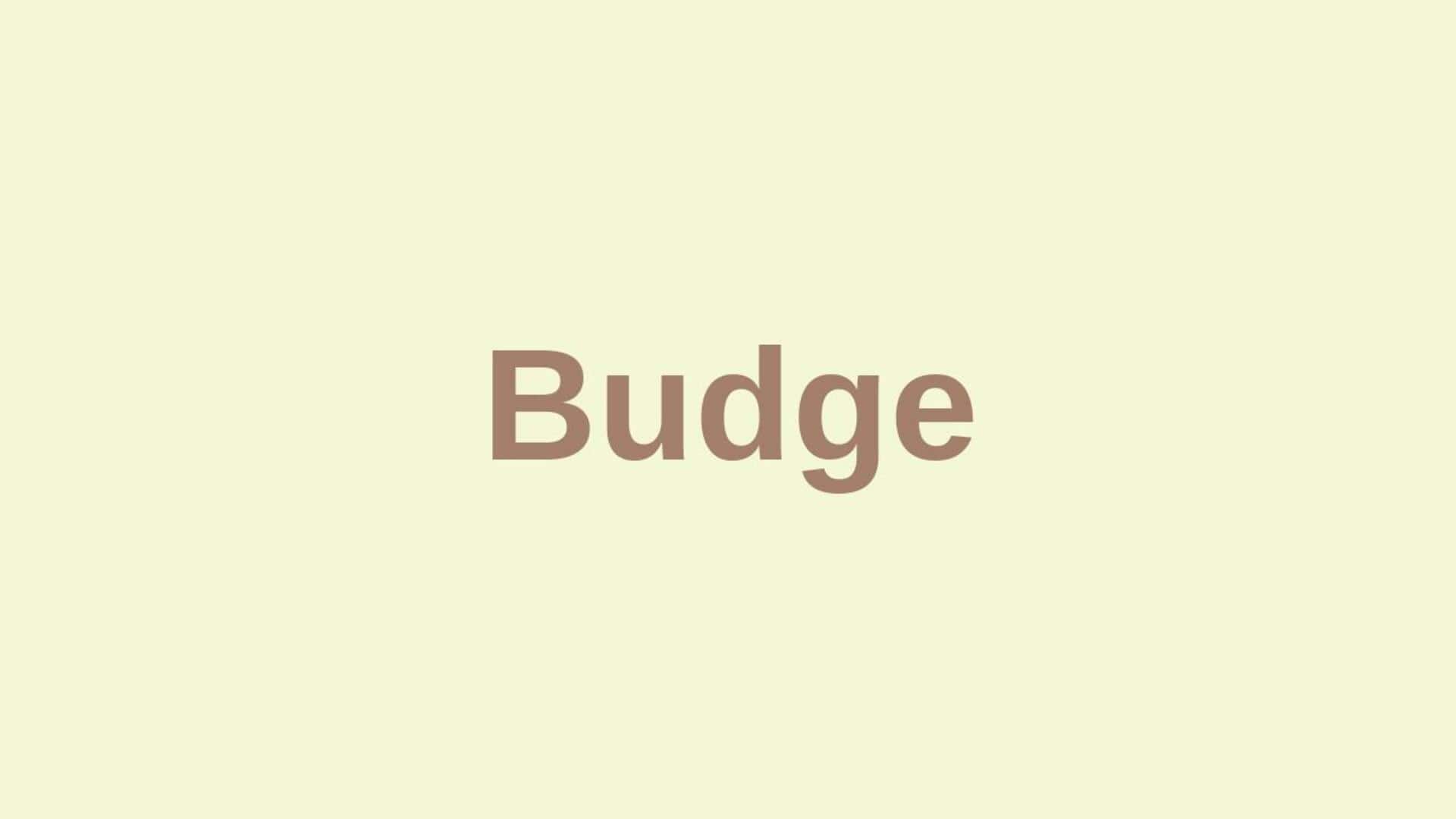 Word of the Day: Budge Word of the Day: Budge
