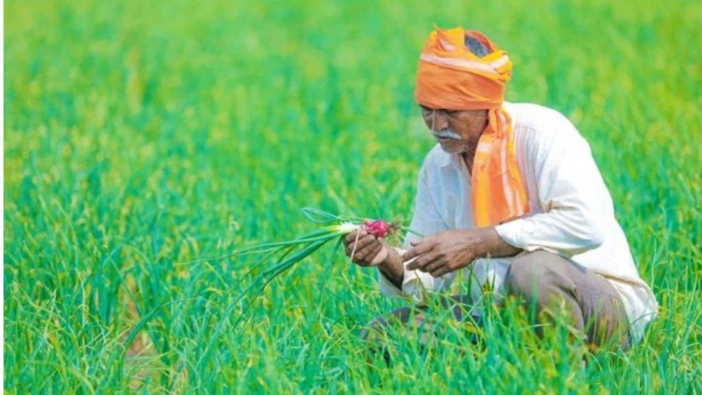 Farmer families in UP received over Rs. 5,000 crore Farmer families in UP received over Rs. 5,000 crore