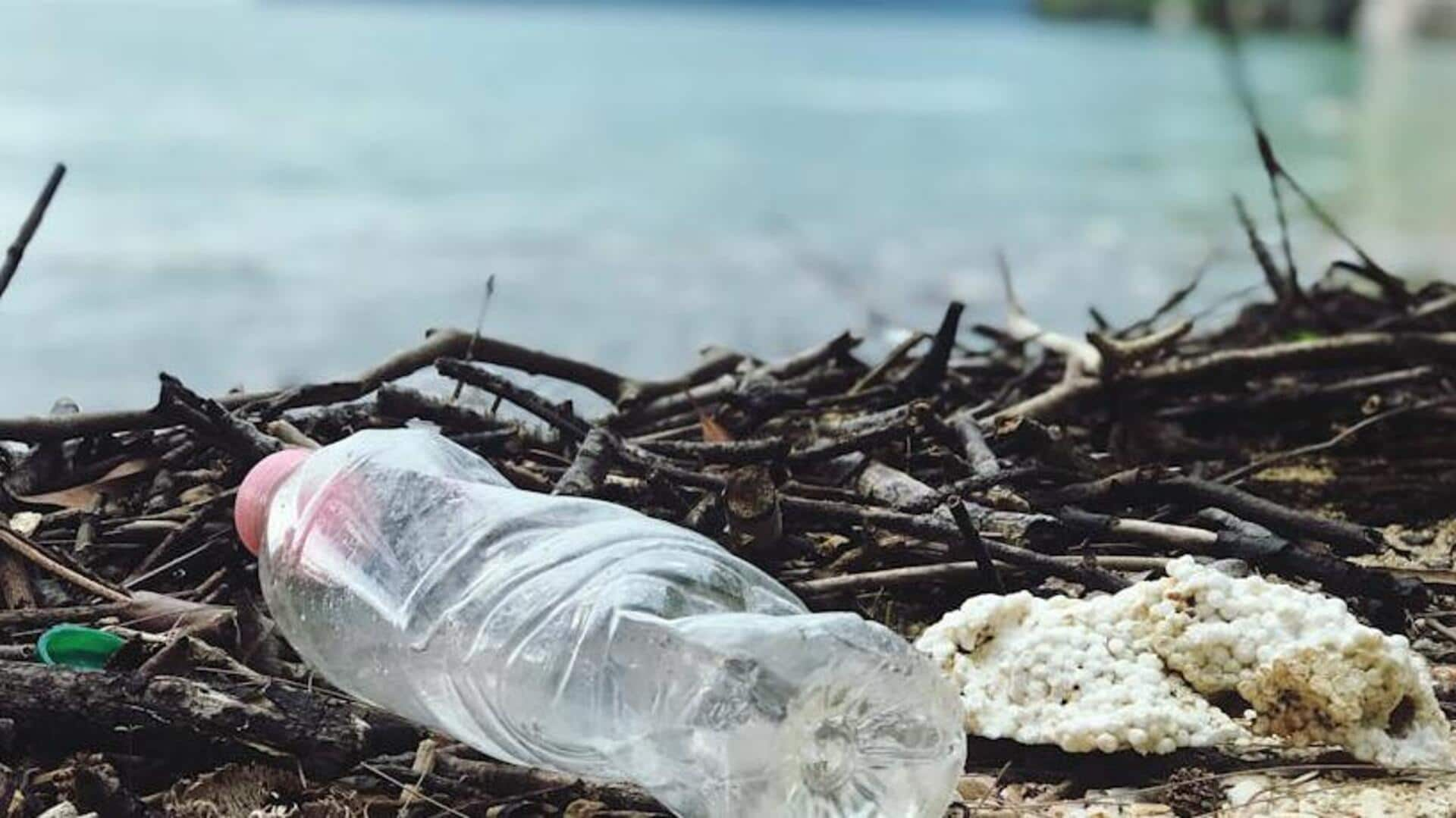 Reducing daily disposable plastic use. Here's how