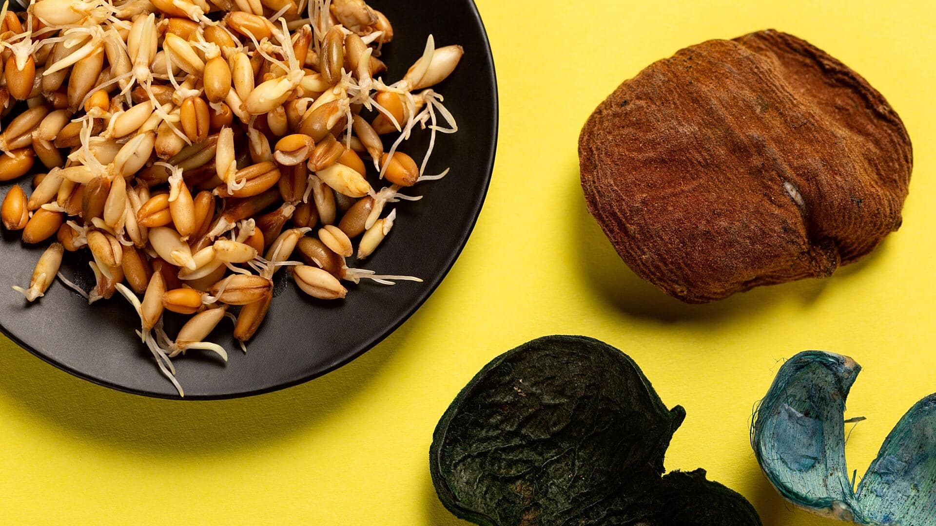 Healthy recipes that make sprouted wheat berries shine
